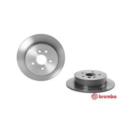 Brembo Brake Rotor (Single) 303mm